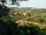 vakantie-cursus in Toscane ! Italiaans leren 